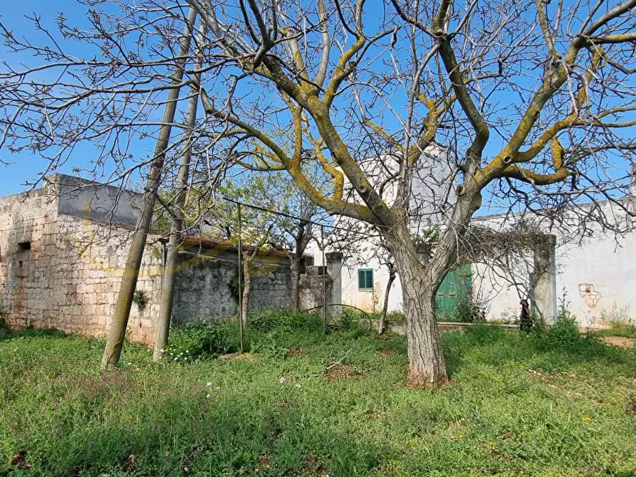 Immagine 25 di Rustico / casale in vendita  in Contrada San Martino a Polignano A Mare