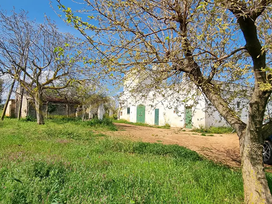 Immagine 24 di Rustico / casale in vendita  in Contrada San Martino a Polignano A Mare
