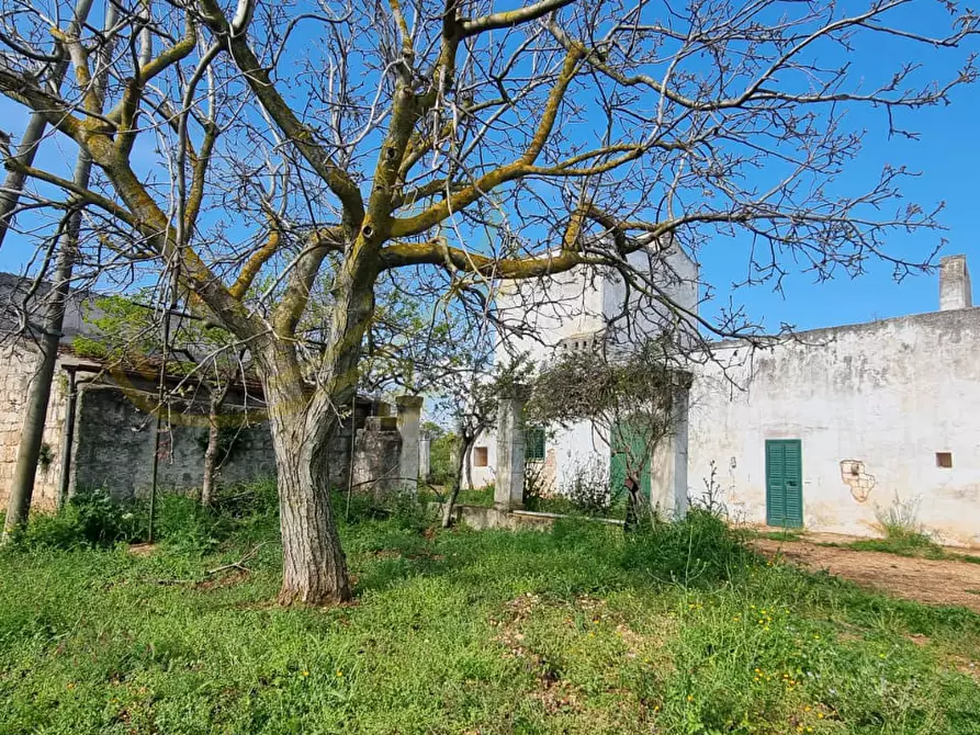 Immagine 28 di Rustico / casale in vendita  in Contrada San Martino a Polignano A Mare