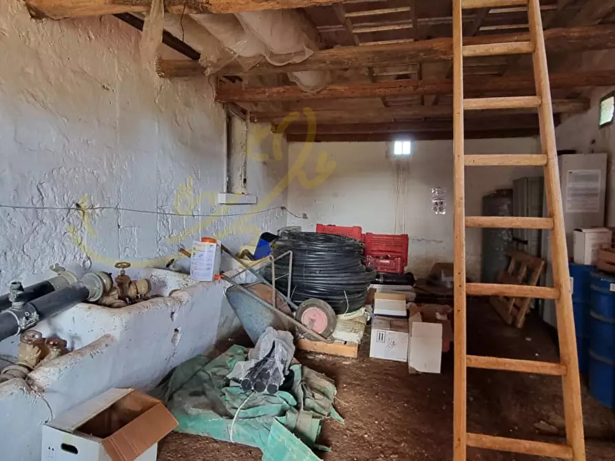 Immagine 32 di Rustico / casale in vendita  in Contrada San Martino a Polignano A Mare