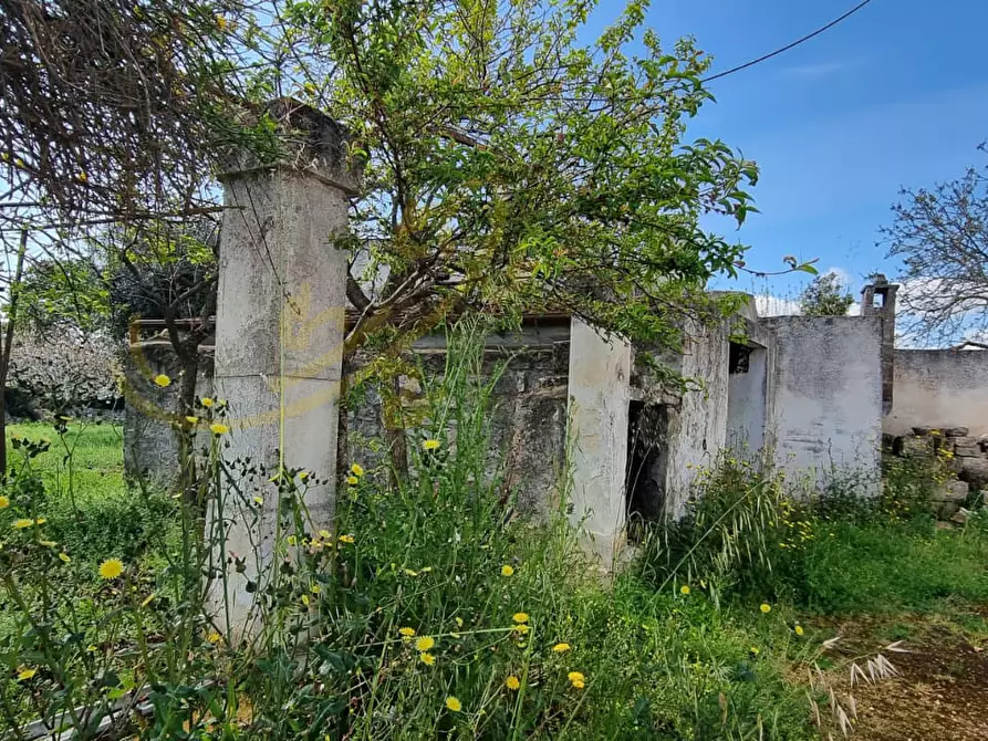 Immagine 31 di Rustico / casale in vendita  in Contrada San Martino a Polignano A Mare