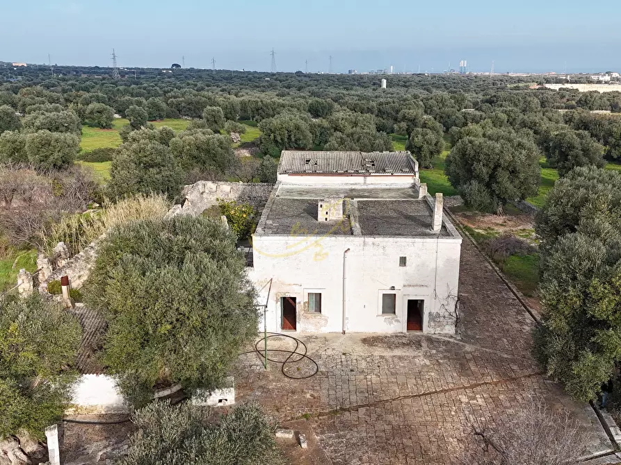 Immagine 3 di Rustico / casale in vendita  in C.da Samato a Monopoli