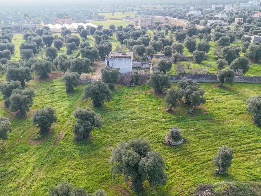 Immagine 4 di Rustico / casale in vendita  in C.da Samato a Monopoli