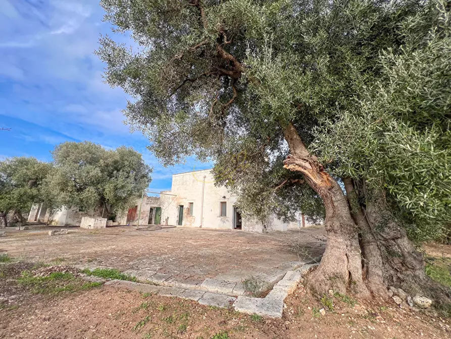Immagine 7 di Rustico / casale in vendita  in C.da Samato a Monopoli