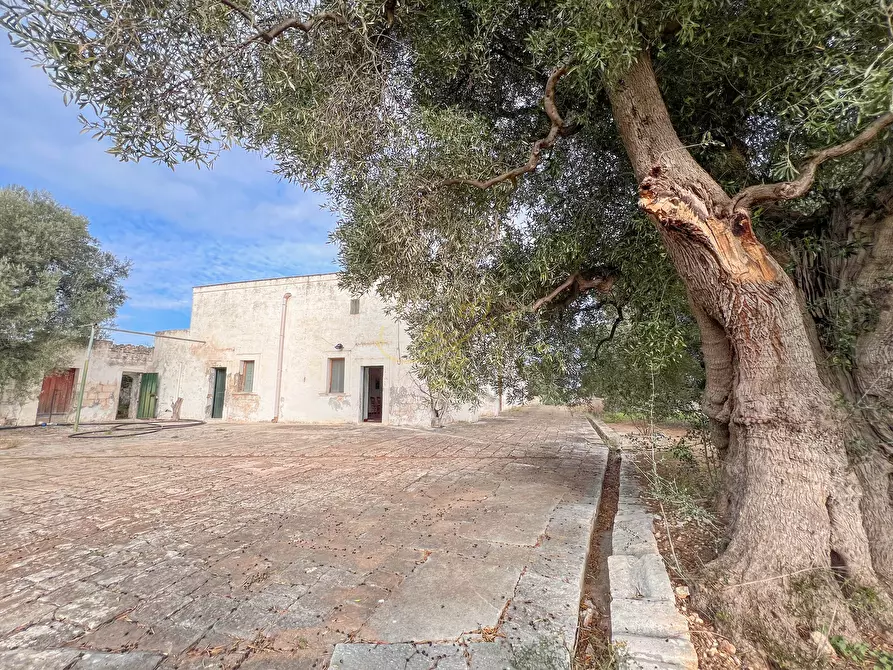 Immagine 8 di Rustico / casale in vendita  in C.da Samato a Monopoli