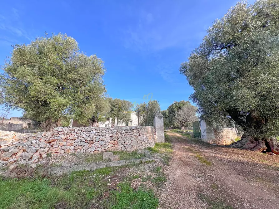 Immagine 12 di Rustico / casale in vendita  in C.da Samato a Monopoli