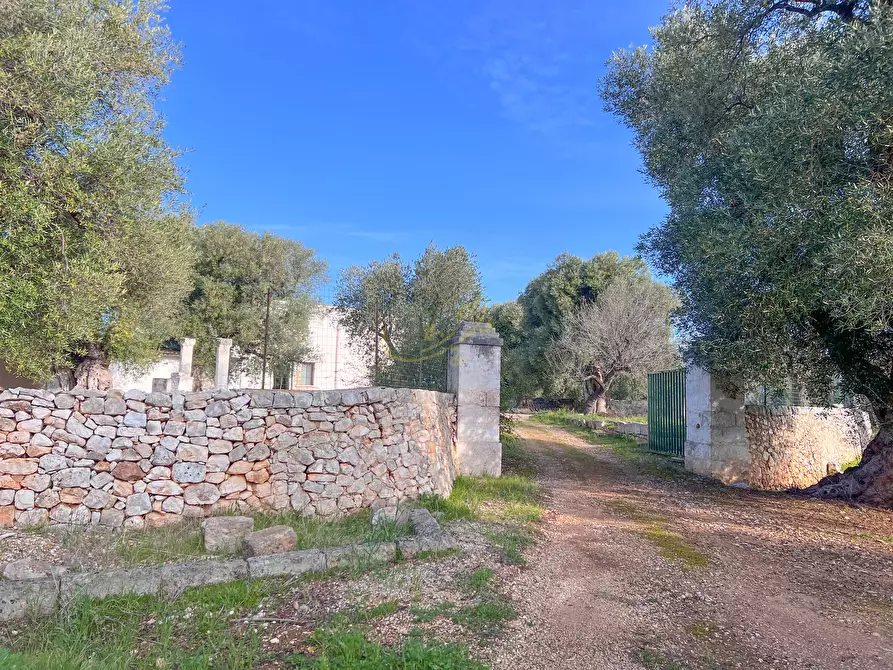 Immagine 13 di Rustico / casale in vendita  in C.da Samato a Monopoli
