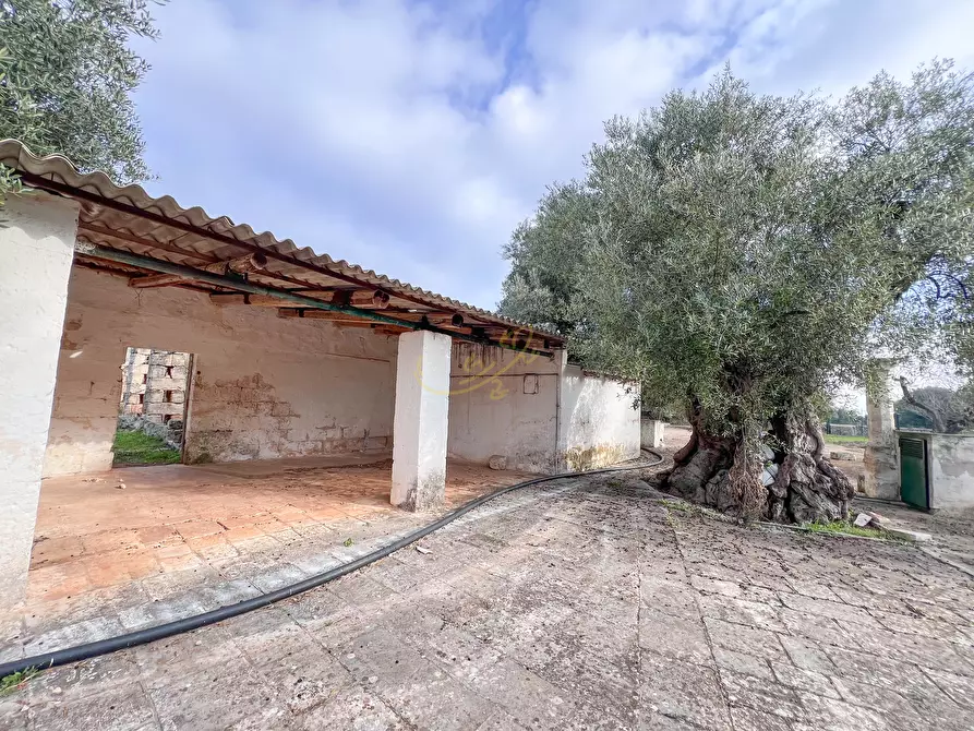 Immagine 18 di Rustico / casale in vendita  in C.da Samato a Monopoli