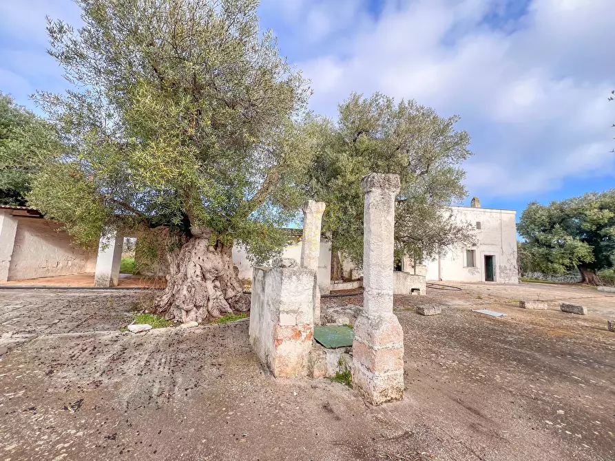 Immagine 19 di Rustico / casale in vendita  in C.da Samato a Monopoli