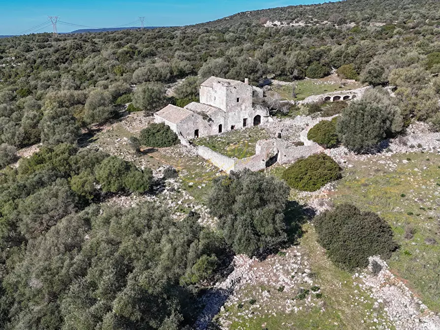 Immagine 5 di Rustico / casale in vendita  in strada tre piantelle a Martina Franca