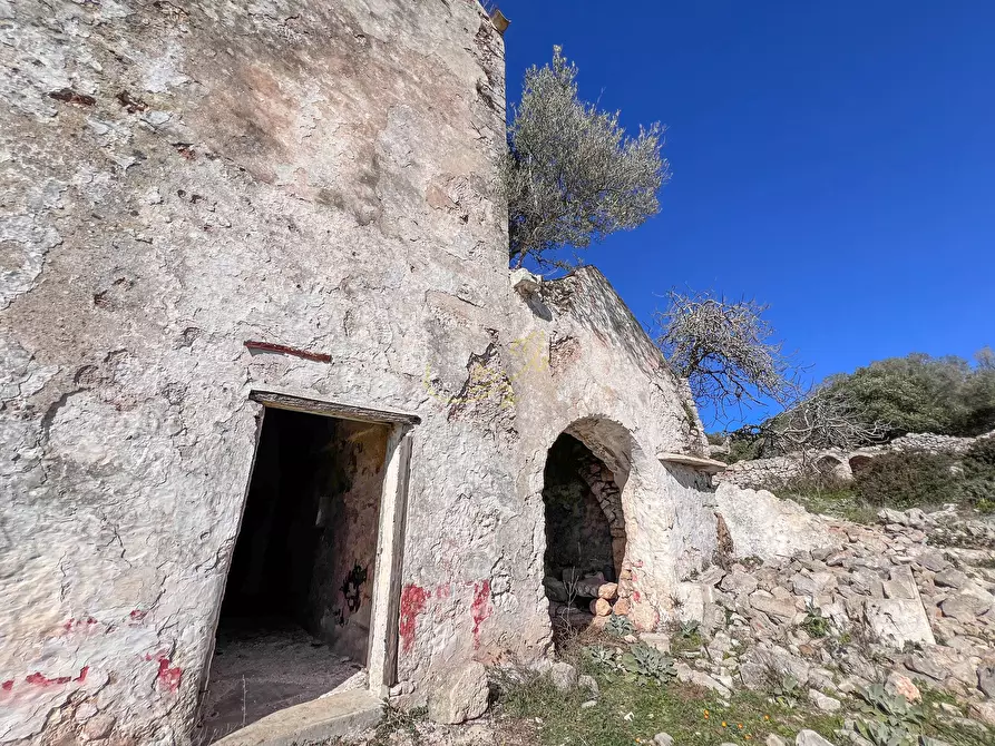 Immagine 9 di Rustico / casale in vendita  in strada tre piantelle a Martina Franca