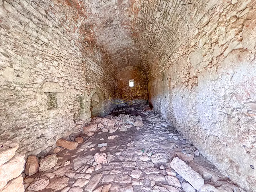 Immagine 10 di Rustico / casale in vendita  in strada tre piantelle a Martina Franca