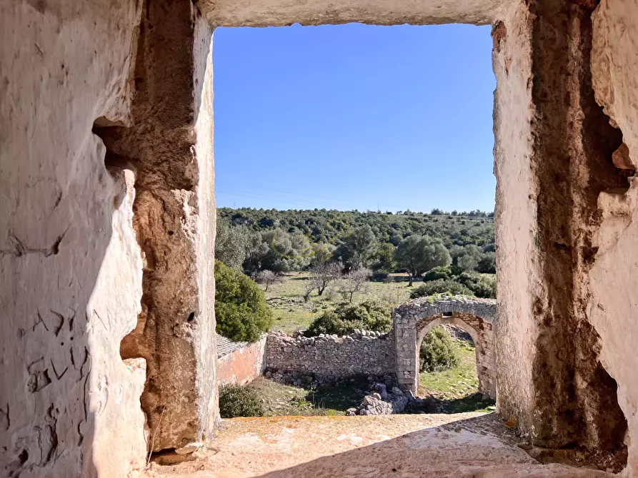 Immagine 17 di Rustico / casale in vendita  in strada tre piantelle a Martina Franca