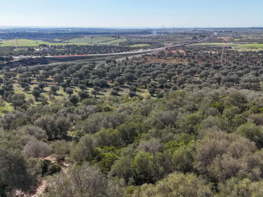 Immagine 19 di Rustico / casale in vendita  in strada tre piantelle a Martina Franca