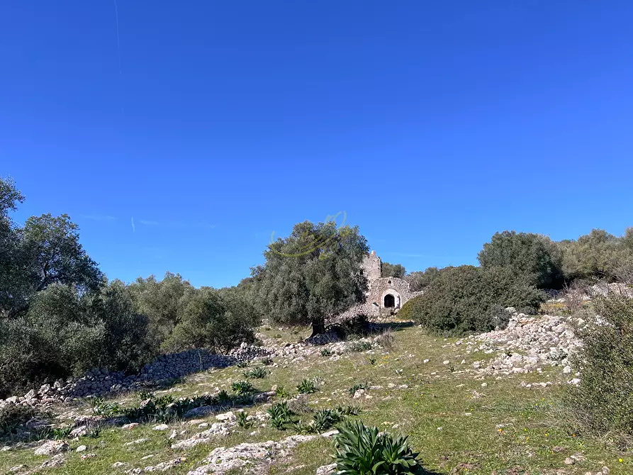 Immagine 20 di Rustico / casale in vendita  in strada tre piantelle a Martina Franca