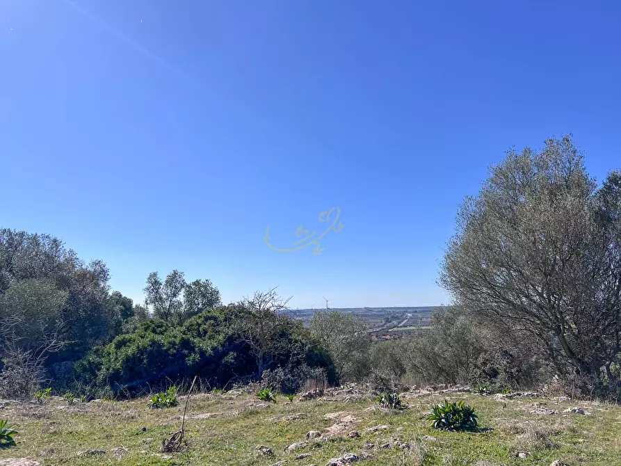 Immagine 21 di Rustico / casale in vendita  in strada tre piantelle a Martina Franca