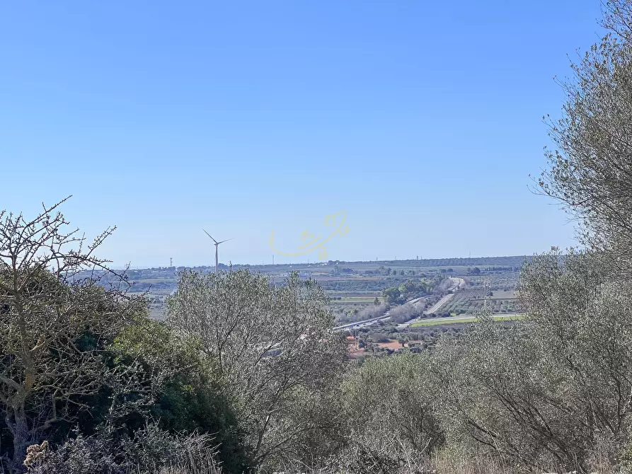Immagine 22 di Rustico / casale in vendita  in strada tre piantelle a Martina Franca