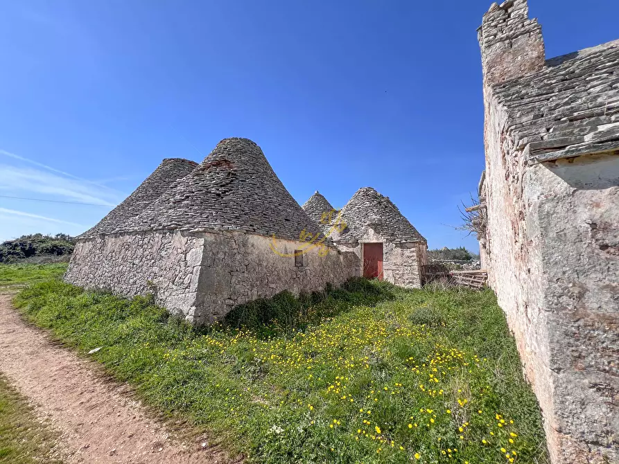 Immagine 12 di Rustico / casale in vendita  in STRADA VICINALE MONTE IMPERATORE a Noci