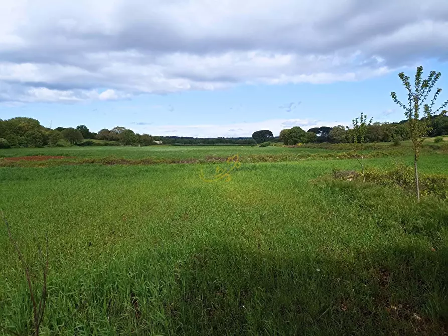 Immagine 5 di Baita in vendita  in strada provinciale 66 a Martina Franca