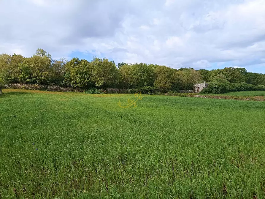 Immagine 4 di Baita in vendita  in strada provinciale 66 a Martina Franca