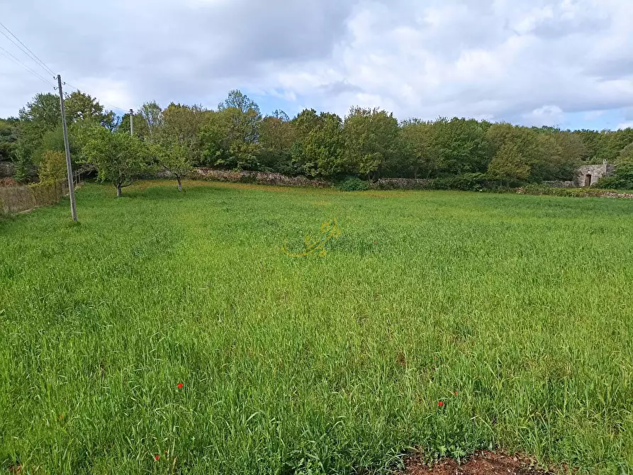 Immagine 7 di Baita in vendita  in strada provinciale 66 a Martina Franca