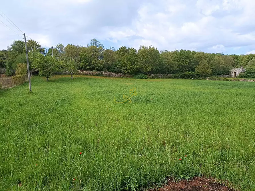 Immagine 6 di Baita in vendita  in strada provinciale 66 a Martina Franca