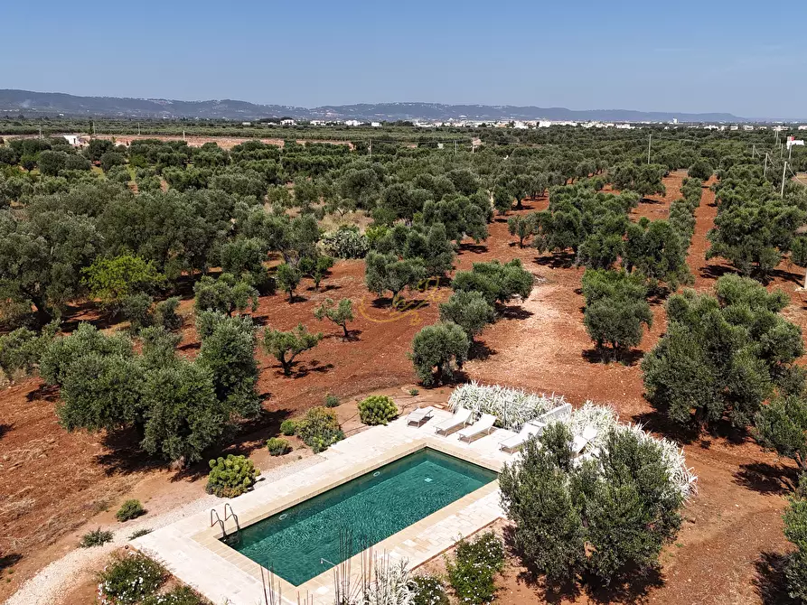 Immagine 3 di Villa in vendita  in Speziale a Fasano