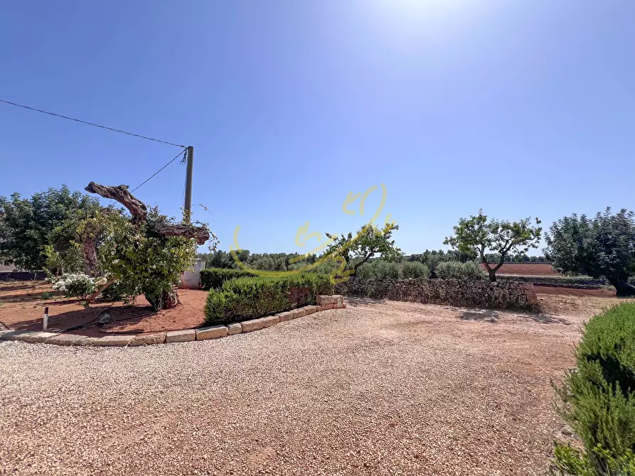 Immagine 36 di Villa in vendita  in Speziale a Fasano