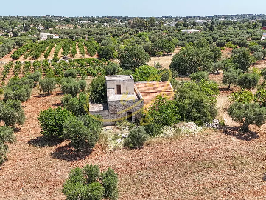 Immagine 4 di Rustico / casale in vendita  in Via Case Sparse a Polignano A Mare