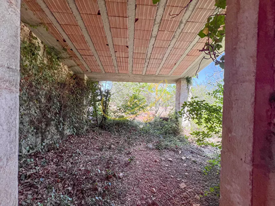 Immagine 21 di Rustico / casale in vendita  in Via Case Sparse a Polignano A Mare