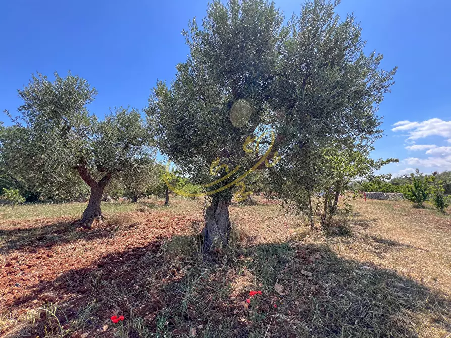 Immagine 22 di Rustico / casale in vendita  in Via Case Sparse a Polignano A Mare
