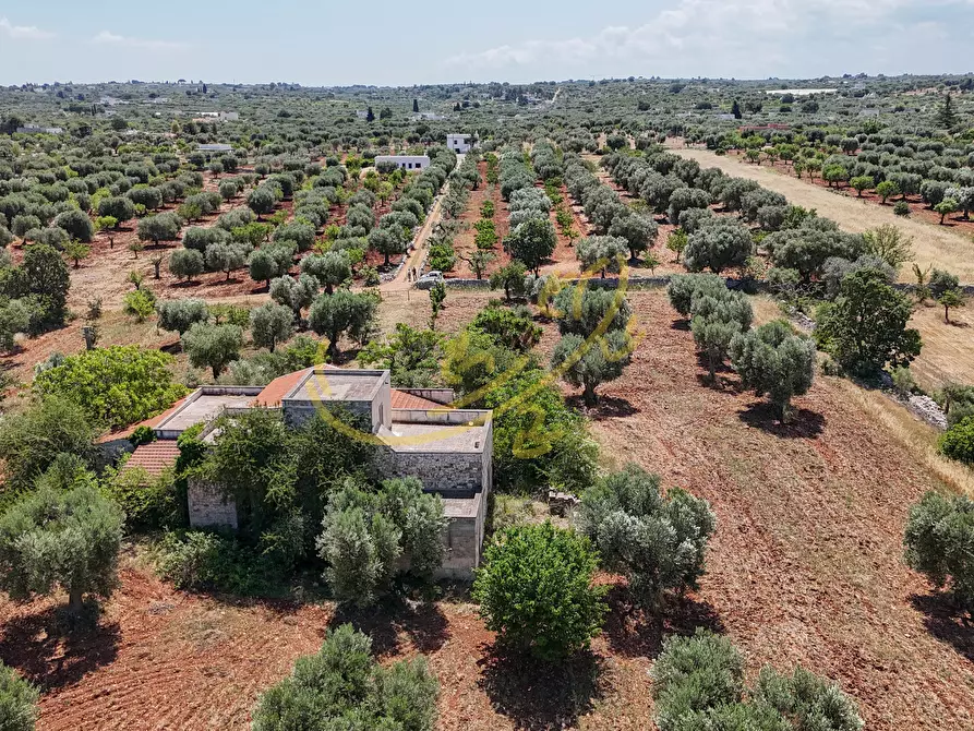 Immagine 25 di Rustico / casale in vendita  in Via Case Sparse a Polignano A Mare