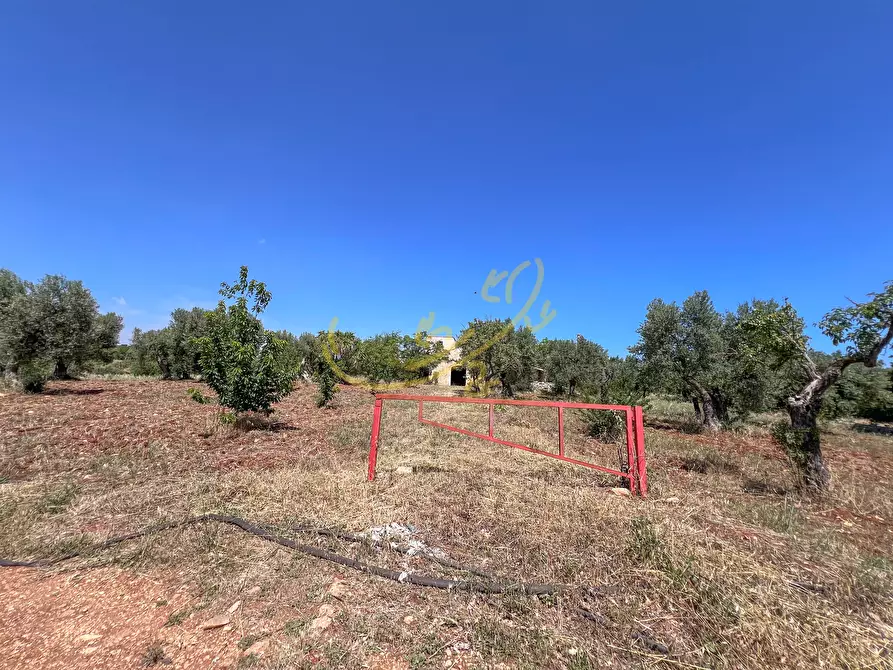 Immagine 26 di Rustico / casale in vendita  in Via Case Sparse a Polignano A Mare