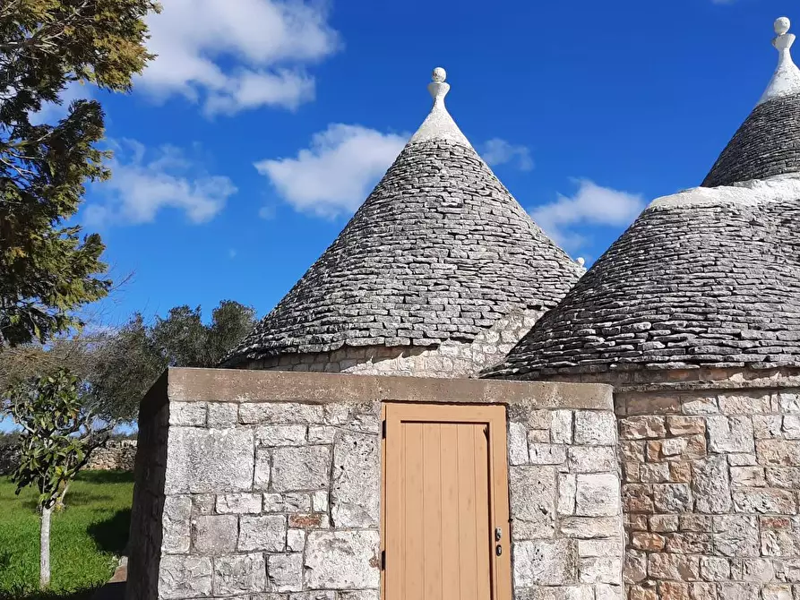 Immagine 7 di Baita in vendita  in contrada marinelli a Adelfia