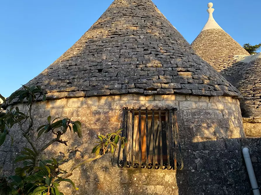 Immagine 11 di Baita in vendita  in contrada marinelli a Adelfia