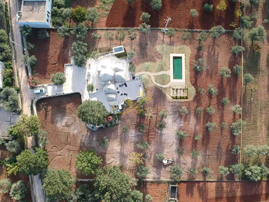 Immagine 4 di Baita in vendita  in Strada Comunale Orbo a Alberobello