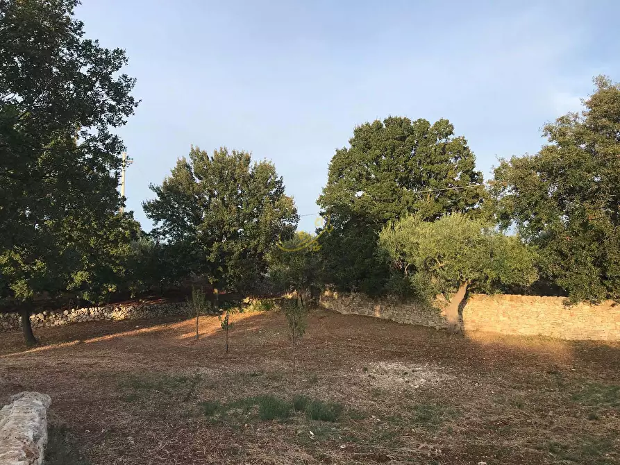Immagine 37 di Baita in vendita  in Strada Comunale Orbo a Alberobello