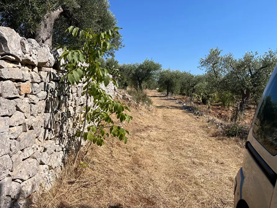 Immagine 6 di Baita in vendita  in contrada torre due pani a Castellana Grotte
