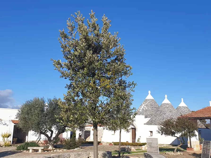 Immagine 3 di Baita in vendita  in Contrada Casa Le Gatte a Noci