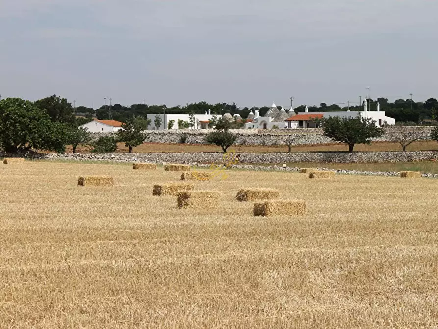Immagine 13 di Baita in vendita  in Contrada Casa Le Gatte a Noci