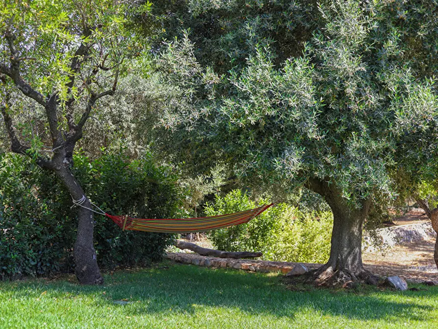 Immagine 17 di Villa in vendita  in CONTRADA PADRE SERGIO a Monopoli