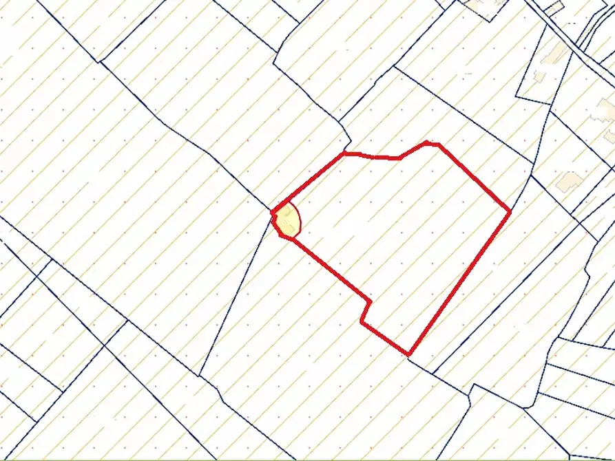 Immagine 34 di Villa in vendita  in CONTRADA PADRE SERGIO a Monopoli