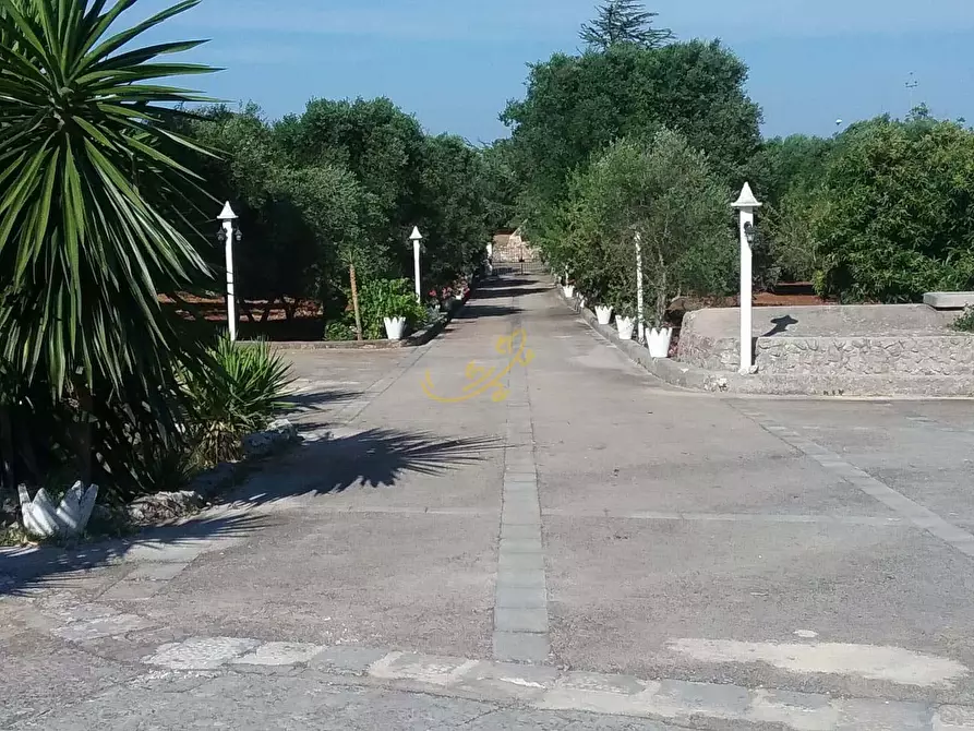 Immagine 13 di Baita in vendita  in strada cupina a Martina Franca