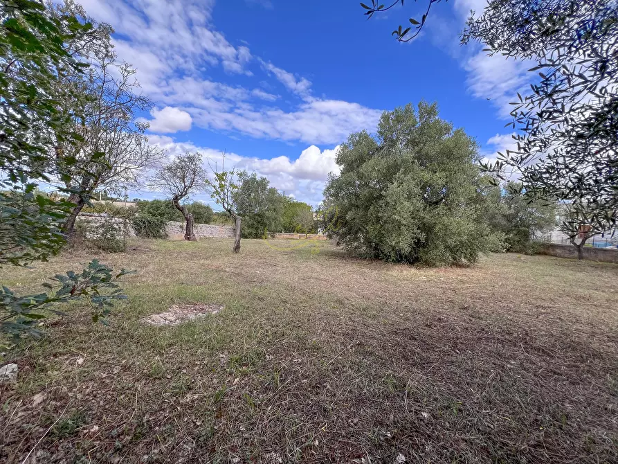 Immagine 14 di Baita in vendita  in STRADA COMUNALE SANT'ANGELO a Castellana Grotte