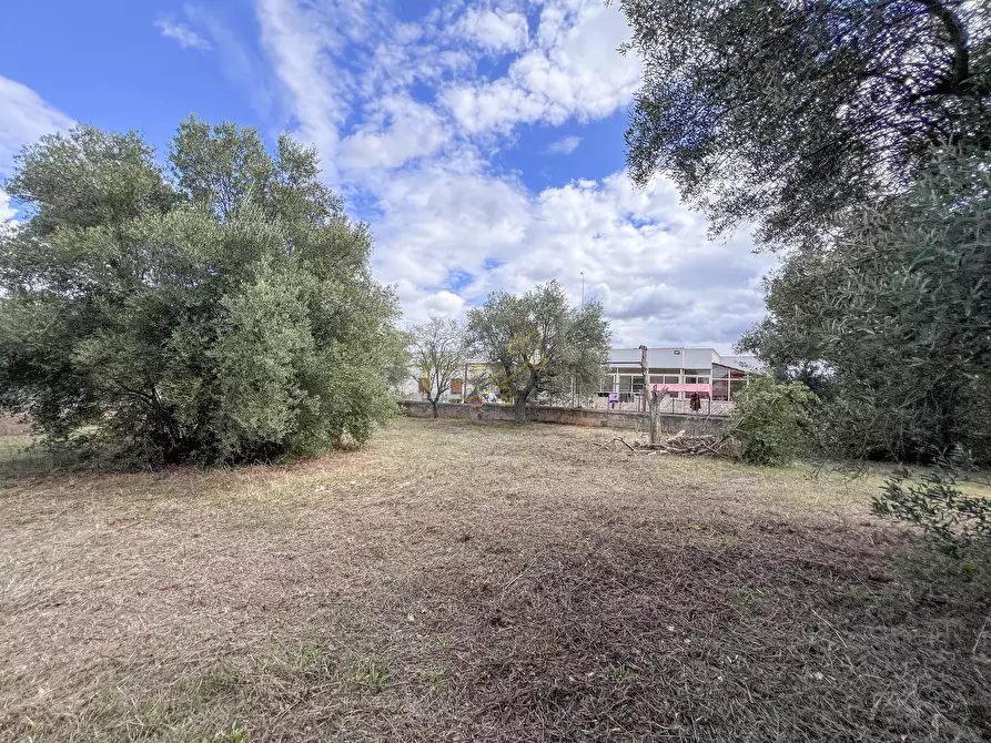 Immagine 15 di Baita in vendita  in STRADA COMUNALE SANT'ANGELO a Castellana Grotte