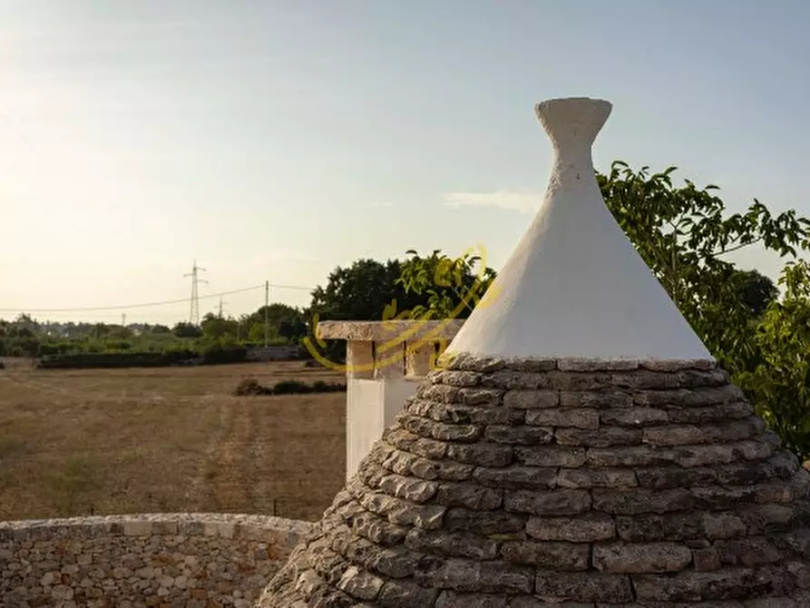 Immagine 22 di Baita in vendita  in Str. Comunale Pozzo Martino a Putignano