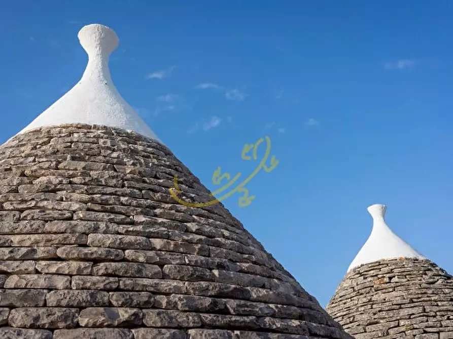 Immagine 23 di Baita in vendita  in Str. Comunale Pozzo Martino a Putignano