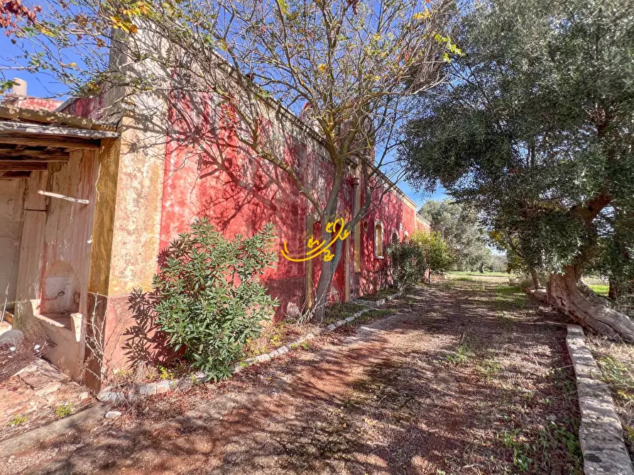 Immagine 3 di Rustico / casale in vendita  in St. Selva di Fasano a Castellana Grotte