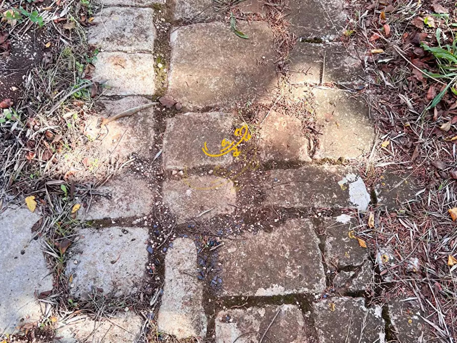 Immagine 7 di Rustico / casale in vendita  in St. Selva di Fasano a Castellana Grotte