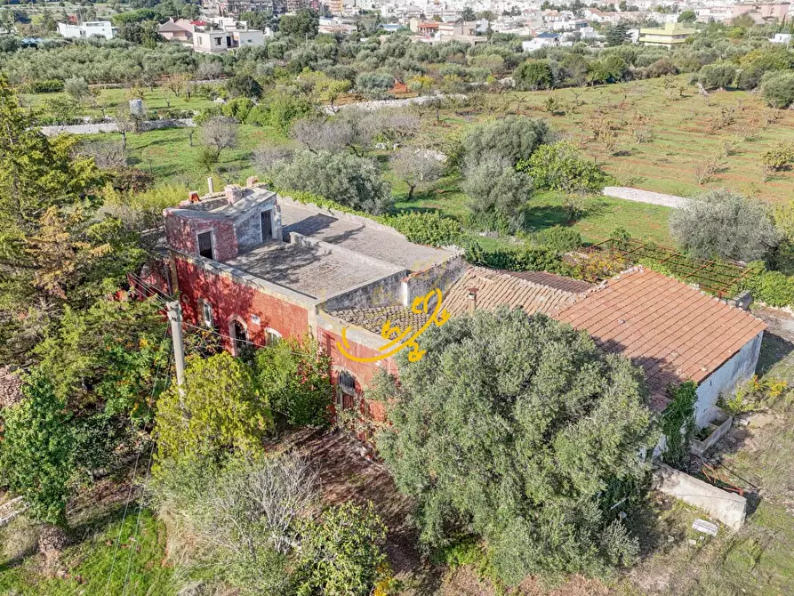 Immagine 14 di Rustico / casale in vendita  in St. Selva di Fasano a Castellana Grotte